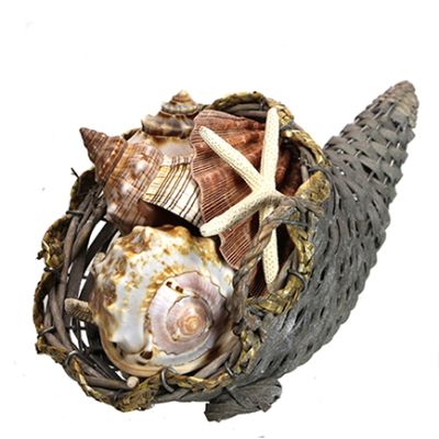 Seashell Cornucopia Thanksgiving Seasonal Centerpiece