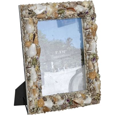 Assorted Shells Photo Frame 8x10"