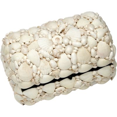 White Natural Seashell Treasure Box 10x6.5x5"