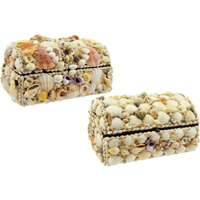 2 Natural Shell Treasure Box (Set of 2) 7.25x4.5x3.5"