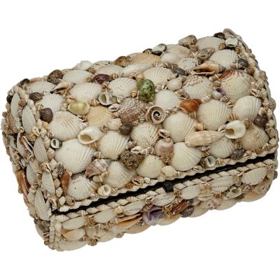 Natural Seashell Treasure Box 10x6.5x5"