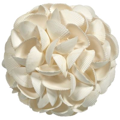 Ark Shells Orb 6"