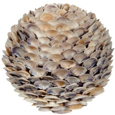 Mixed Cay Cay Shell Orb 6"