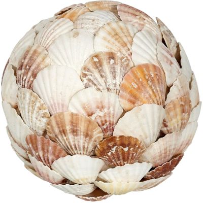 Mixed Scallop Flat Shells Orb 6"