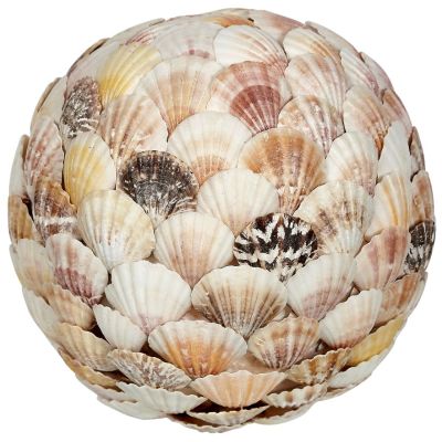 Mixed Scallop Flat Shells Orb 8"
