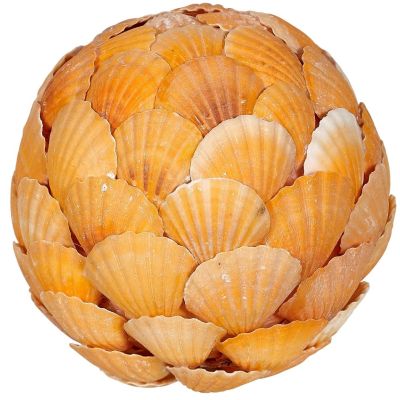 Orange Scallop Flat Shells Orb 6"