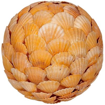 Orange Scallop Flat Shells Orb 8"