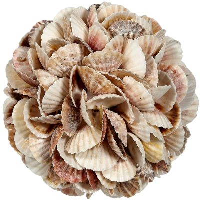 Mixed Pecten Shells Orb 8"