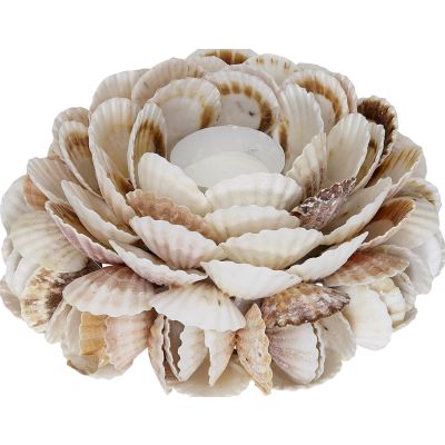 Pecten Shell Candle Holder 8x4"