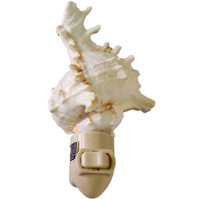 Ramose Murex Boxed LED Night Light