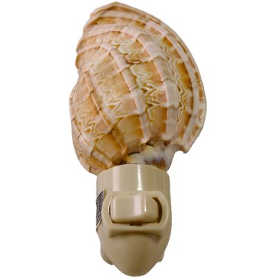 Harpa Shell Boxed LED Night Light