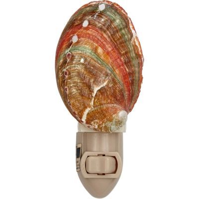 Abalone Boxed LED Night Light