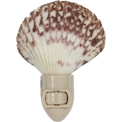 Pecten Boxed LED Night Light