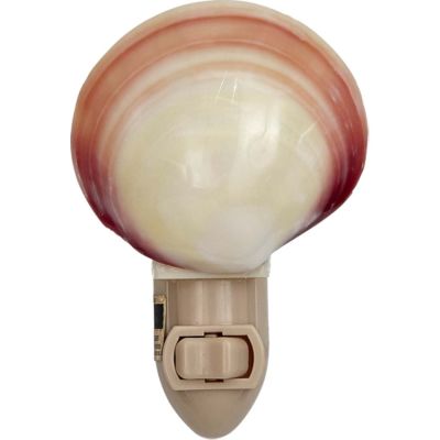Polished Tiger Clam Boxed LED Night Light