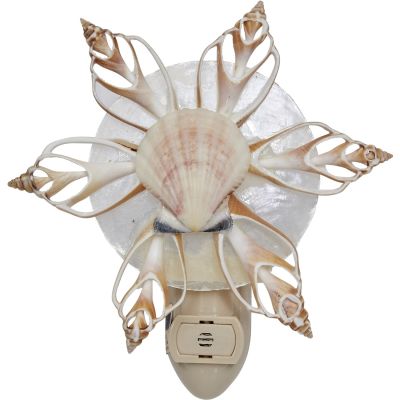Star Shell AUTO Boxed LED Night Light