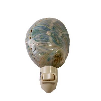 Polished Greenlip Abalone Boxed LED Night Light