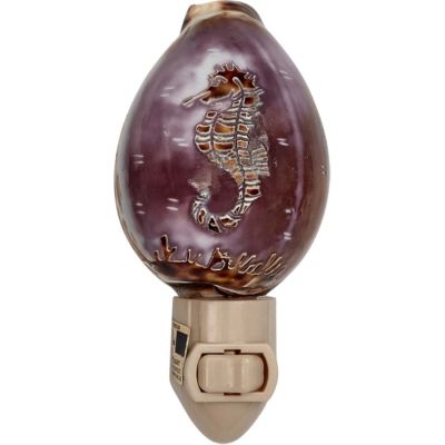 Carved Cowrie Seahorse Boxed LED Night Light