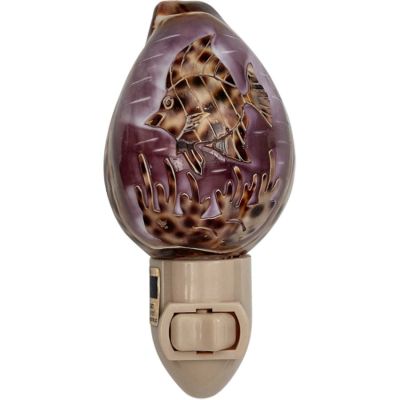 Carved Cowrie Fish Boxed LED Night Light