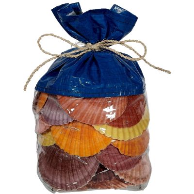 Pecten Nobilis in 8" Vinyl Bag