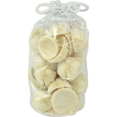 Mushroom Coral in 3x6" Vinyl Bag