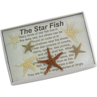 2 Legend of the Starfish Boxes (2 Boxes)