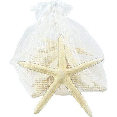 Ten White Starfish in Net Bag (Set of 10)