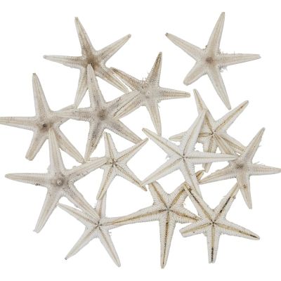 100 Mini Starfish Natural .75-1" (Set of 100)