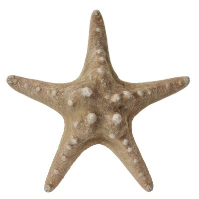 6 Knobby Natural Starfish 6-8" (Set of 6)