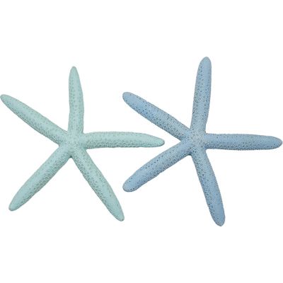 6 Dyed Natural Finger Starfish 6-8" Pastel (Set of 6)
