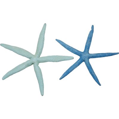 4 Dyed Finger Starfish 8-10" Pastel (Set of 4)