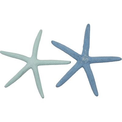 10 Dyed Finger Starfish 2-4" Pastel (Set of 10)