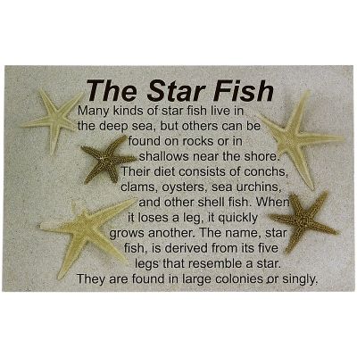 18 Legend of the Sea Star Post Cards (Set of 18)