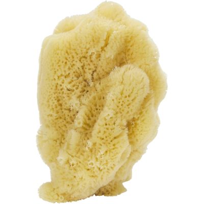 Small Curio Natural Sponge Mix 3- 5"
