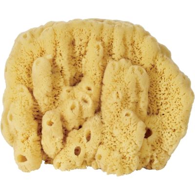 Curio Mix Sponge 7-9"