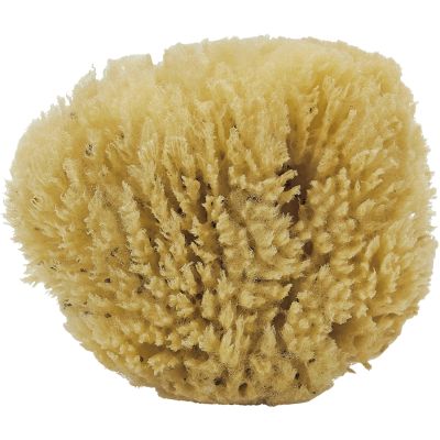 3 Natural Caribbean Grass Cut Sponges 3-4"