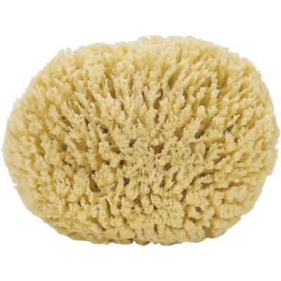 Natural Caribbean Grass Cut Sponge 5-6"