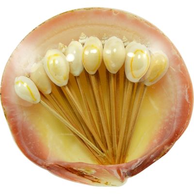 4 Clam Shells with Cocktail Toothpicks (24 pcs per clam)